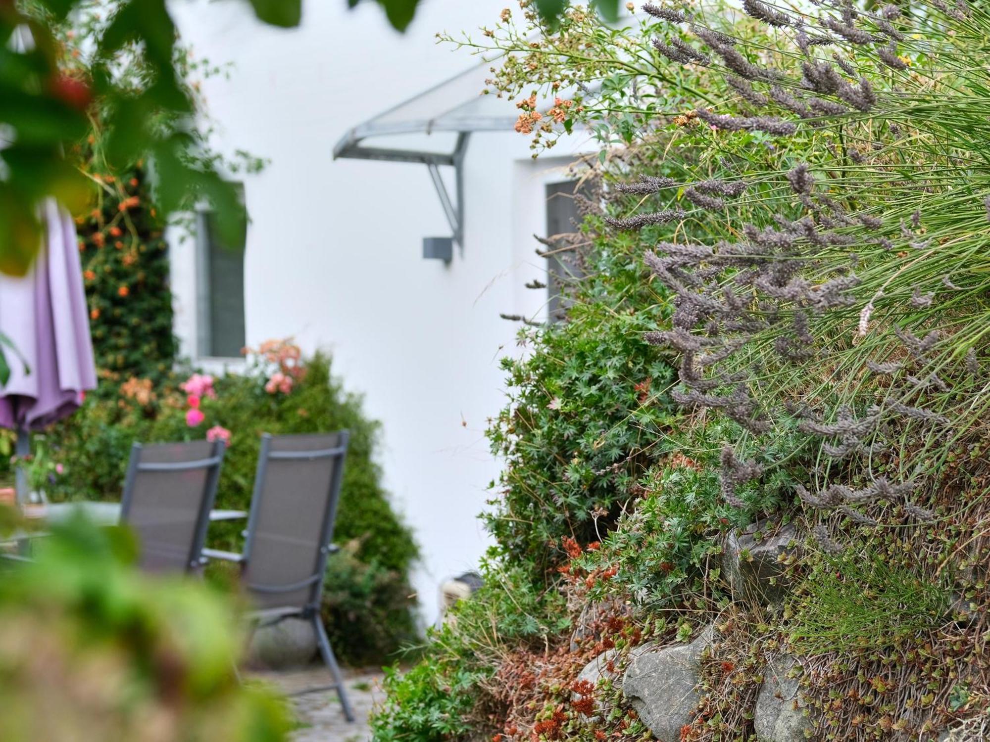 Ruhetal -Ferienwohnung Mit Sonnenterasse Gluecksburg Exterior photo